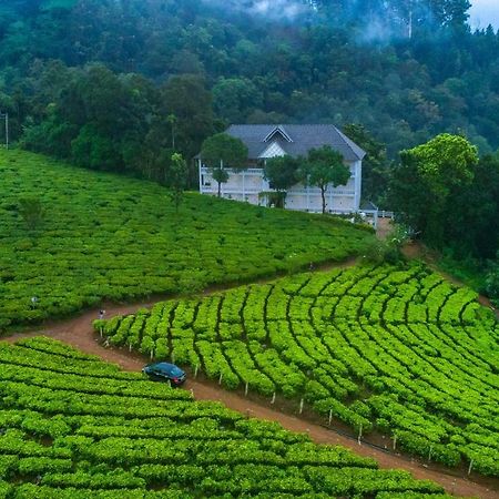 Tea Harvester Munnar Extérieur photo