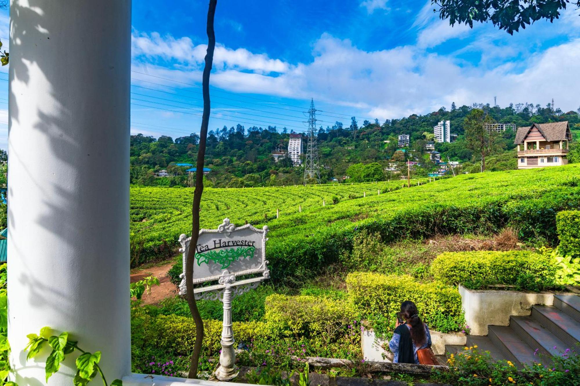 Tea Harvester Munnar Extérieur photo