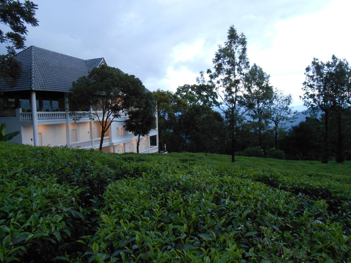 Tea Harvester Munnar Extérieur photo