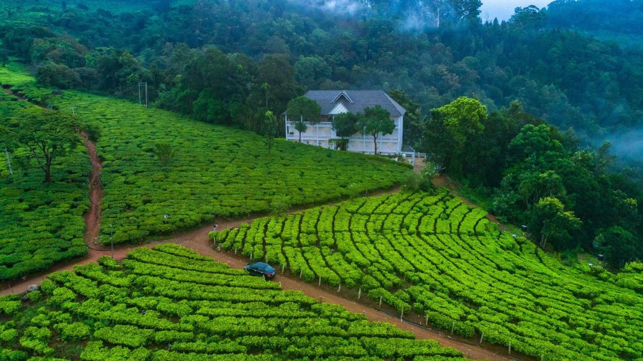 Tea Harvester Munnar Extérieur photo